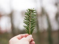 Laatuun panostaminen tukee kestävää kehitystä